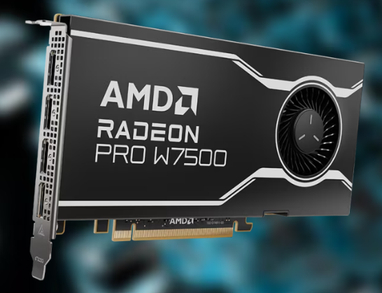 AMD Radeon PRO W7500 专业显卡